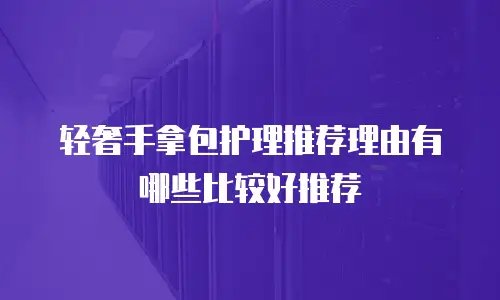 轻奢手拿包护理推荐理由有哪些比较好推荐