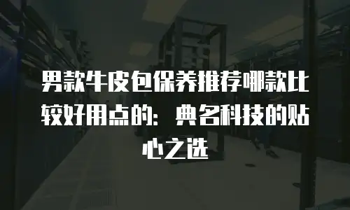 男款牛皮包保养推荐哪款比较好用点的：典名科技的贴心之选