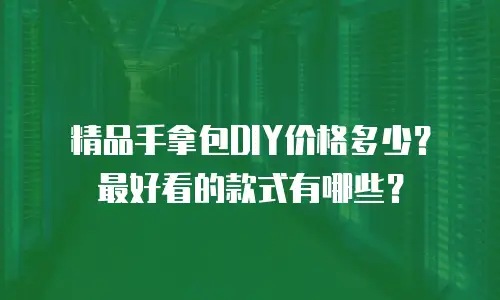 精品手拿包DIY价格多少？最好看的款式有哪些？