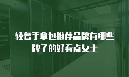 轻奢手拿包推荐品牌有哪些牌子的好看点女士