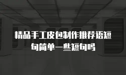 精品手工皮包制作推荐语短句简单一些短句吗