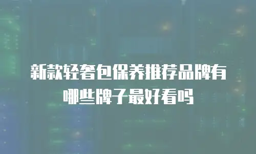 新款轻奢包保养推荐品牌有哪些牌子最好看吗