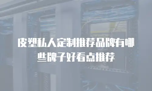 皮塑私人定制推荐品牌有哪些牌子好看点推荐
