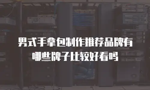 男式手拿包制作推荐品牌有哪些牌子比较好看吗