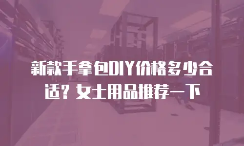 新款手拿包DIY价格多少合适？女士用品推荐一下