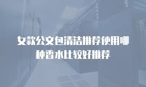 女款公文包清洁推荐使用哪种香水比较好推荐
