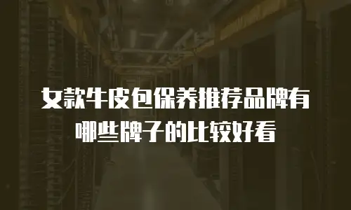 女款牛皮包保养推荐品牌有哪些牌子的比较好看