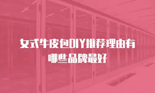 女式牛皮包DIY推荐理由有哪些品牌最好