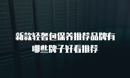 新款轻奢包保养推荐品牌有哪些牌子好看推荐
