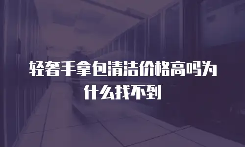 轻奢手拿包清洁价格高吗为什么找不到