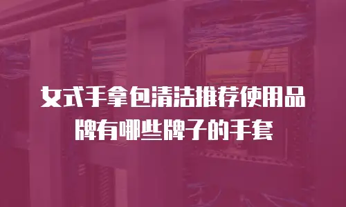 女式手拿包清洁推荐使用品牌有哪些牌子的手套