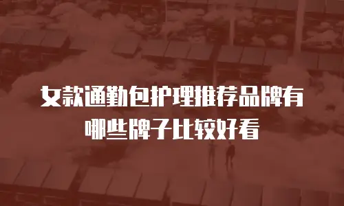 女款通勤包护理推荐品牌有哪些牌子比较好看
