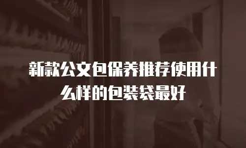 新款公文包保养推荐使用什么样的包装袋最好