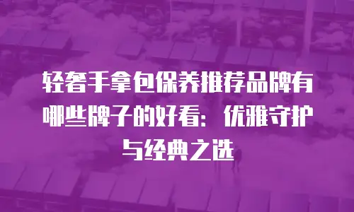 轻奢手拿包保养推荐品牌有哪些牌子的好看：优雅守护与经典之选