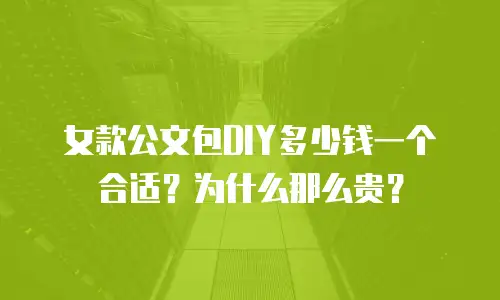 女款公文包DIY多少钱一个合适？为什么那么贵？