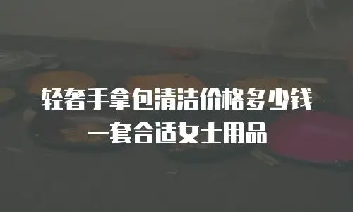 轻奢手拿包清洁价格多少钱一套合适女士用品