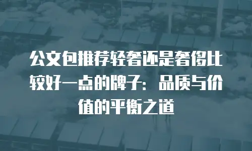 公文包推荐轻奢还是奢侈比较好一点的牌子：品质与价值的平衡之道