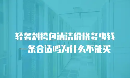 轻奢斜挎包清洁价格多少钱一条合适吗为什么不能买