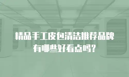 精品手工皮包清洁推荐品牌有哪些好看点吗？