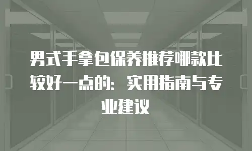 男式手拿包保养推荐哪款比较好一点的：实用指南与专业建议