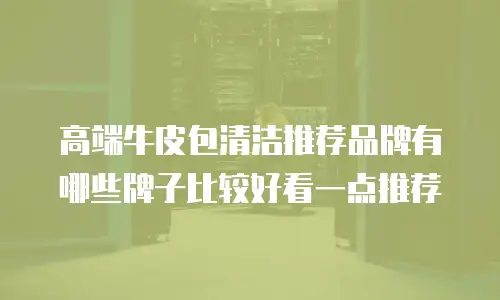高端牛皮包清洁推荐品牌有哪些牌子比较好看一点推荐