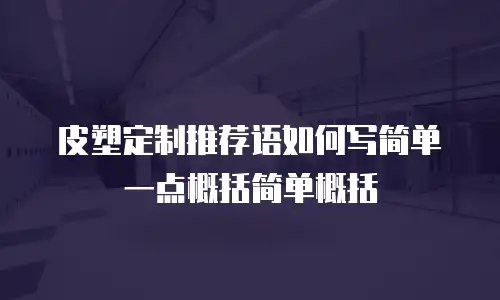 皮塑定制推荐语如何写简单一点概括简单概括