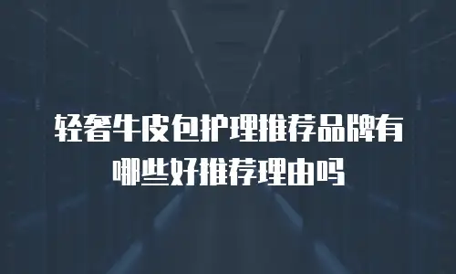 轻奢牛皮包护理推荐品牌有哪些好推荐理由吗