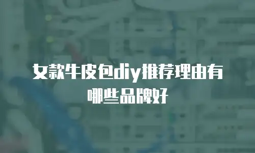 女款牛皮包diy推荐理由有哪些品牌好