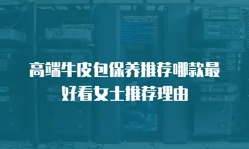 高端牛皮包保养推荐哪款最好看女士推荐理由