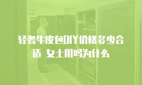 轻奢牛皮包DIY价格多少合适 女士用吗为什么