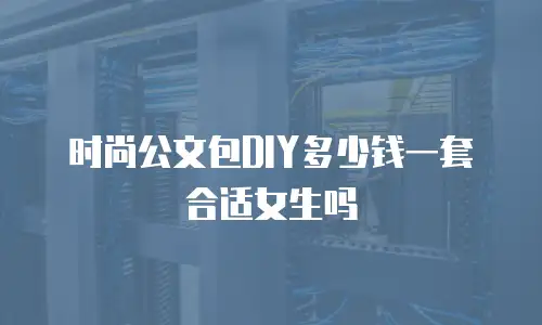 时尚公文包DIY多少钱一套合适女生吗