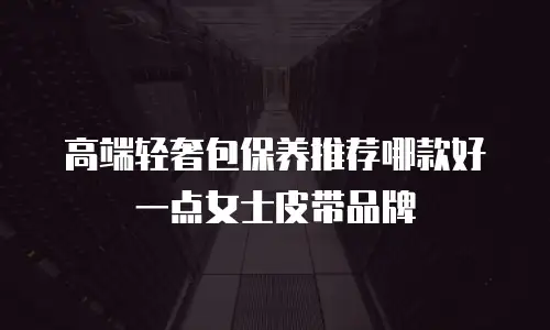 高端轻奢包保养推荐哪款好一点女士皮带品牌