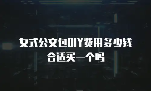女式公文包DIY费用多少钱合适买一个吗