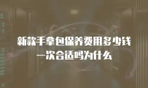 新款手拿包保养费用多少钱一次合适吗为什么