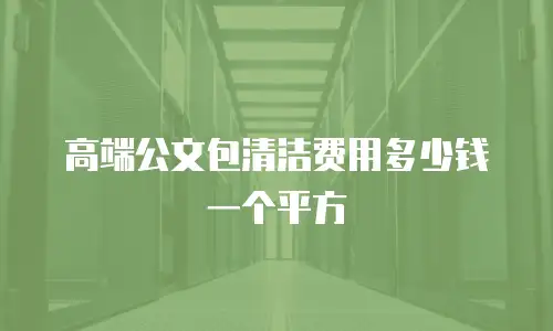 高端公文包清洁费用多少钱一个平方