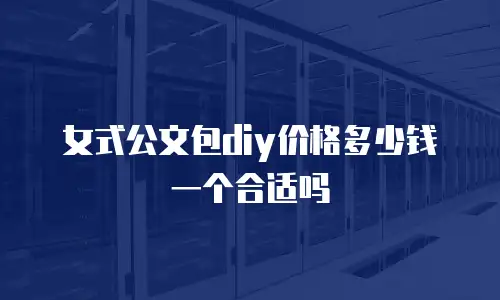 女式公文包diy价格多少钱一个合适吗