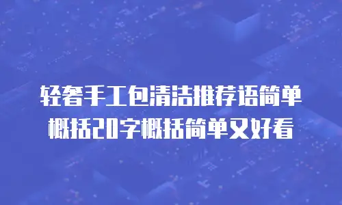 轻奢手工包清洁推荐语简单概括20字概括简单又好看