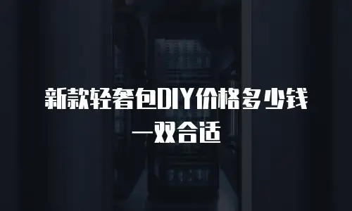 新款轻奢包DIY价格多少钱一双合适