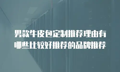男款牛皮包定制推荐理由有哪些比较好推荐的品牌推荐