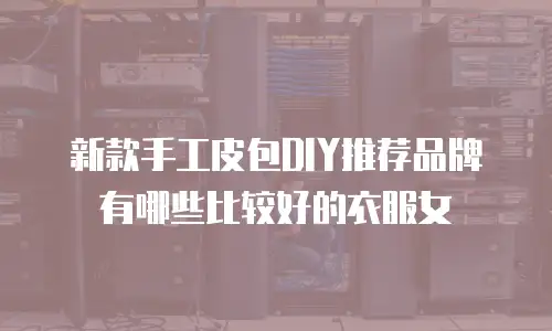 新款手工皮包DIY推荐品牌有哪些比较好的衣服女