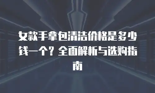 女款手拿包清洁价格是多少钱一个？全面解析与选购指南