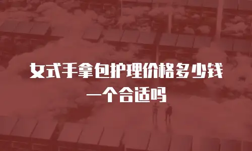 女式手拿包护理价格多少钱一个合适吗