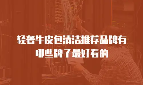 轻奢牛皮包清洁推荐品牌有哪些牌子最好看的