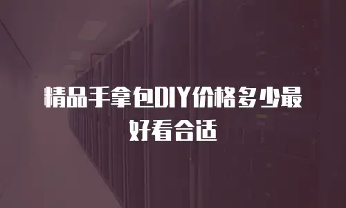 精品手拿包DIY价格多少最好看合适