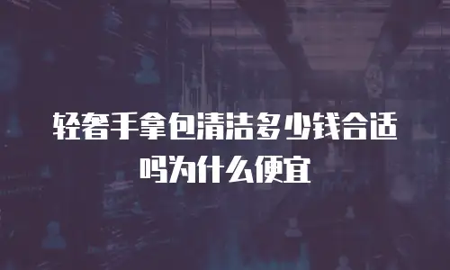 轻奢手拿包清洁多少钱合适吗为什么便宜