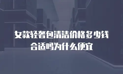 女款轻奢包清洁价格多少钱合适吗为什么便宜