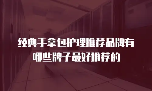 经典手拿包护理推荐品牌有哪些牌子最好推荐的