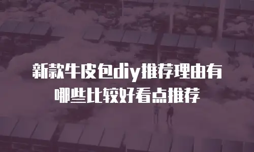新款牛皮包diy推荐理由有哪些比较好看点推荐