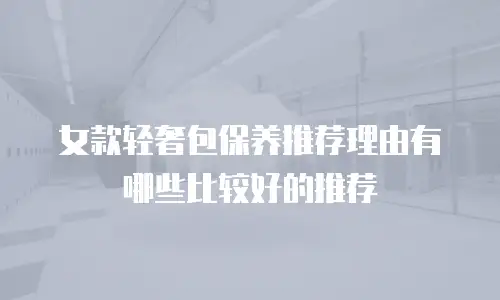 女款轻奢包保养推荐理由有哪些比较好的推荐