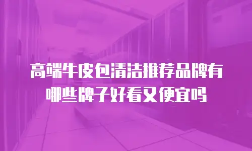 高端牛皮包清洁推荐品牌有哪些牌子好看又便宜吗